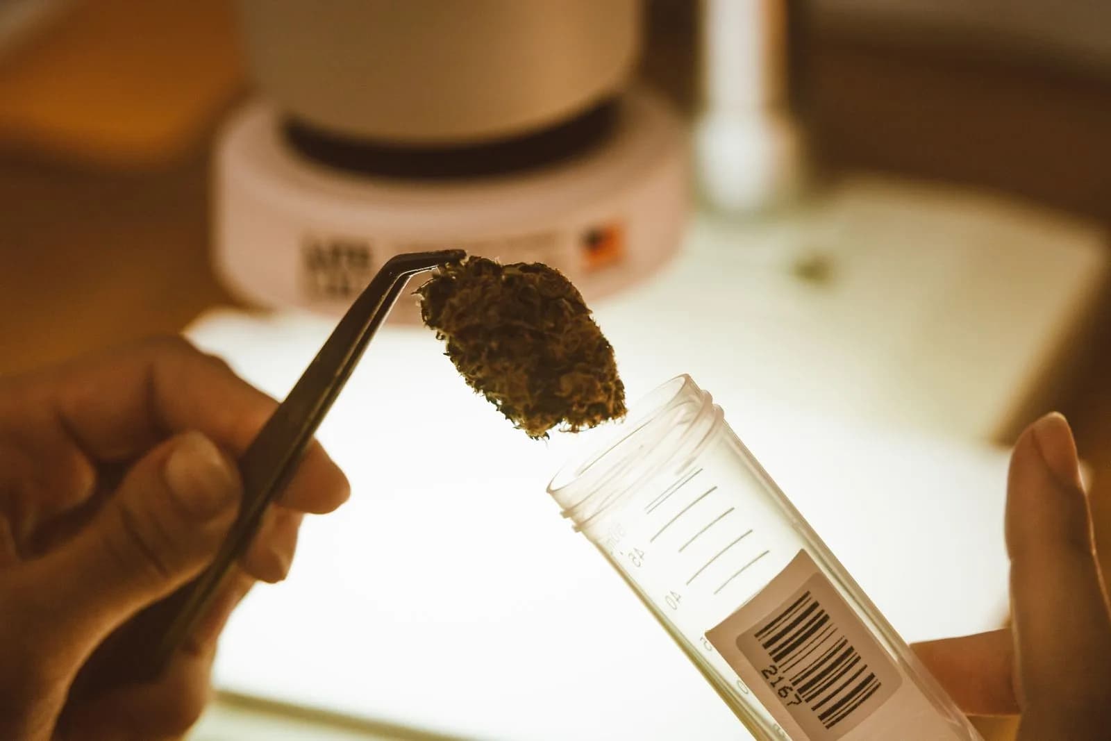 Cbd laboratory testing — Cannabis & CBD marketing by TML Agency