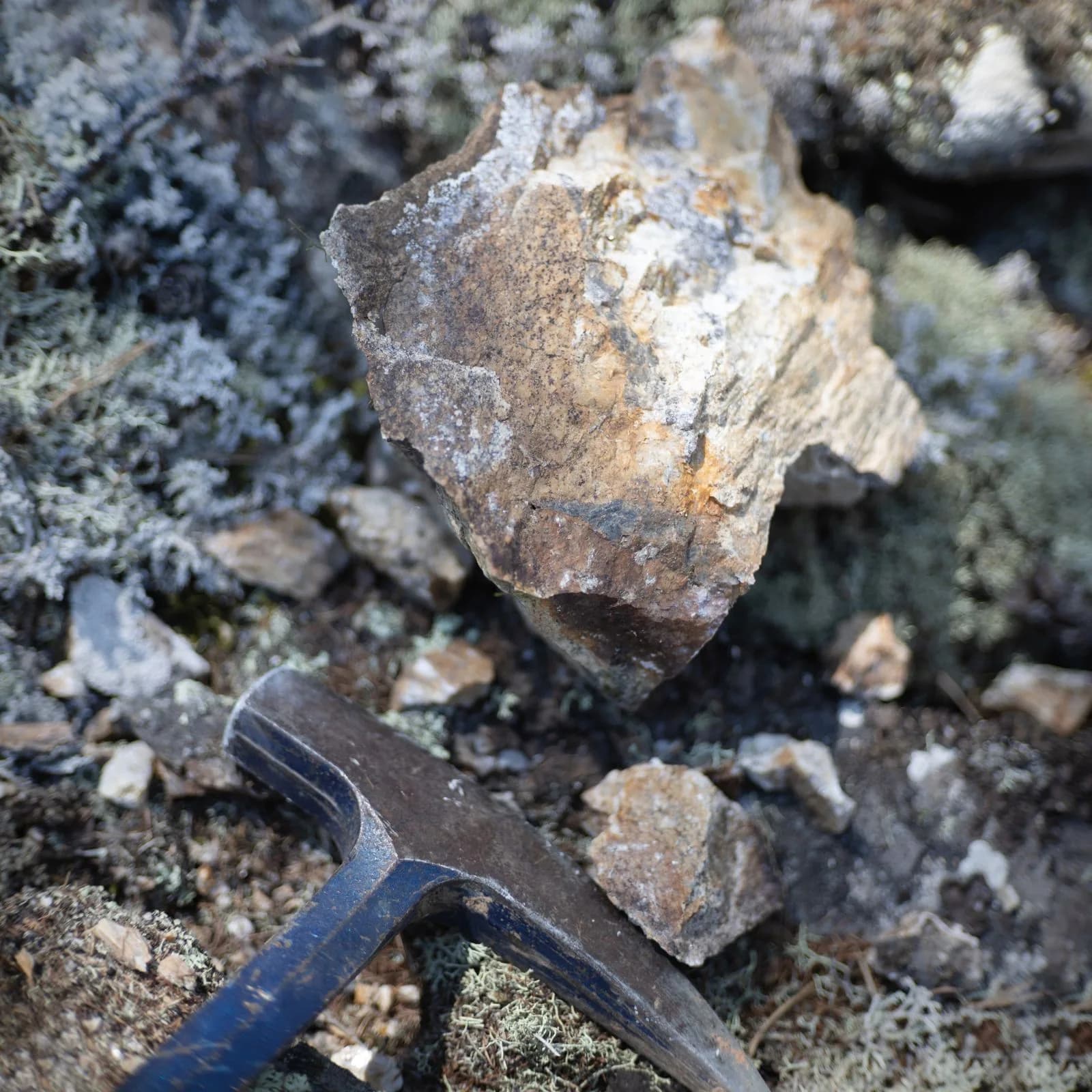 Geologist rock samples field — Mining & Natural Resources marketing by TML Agency